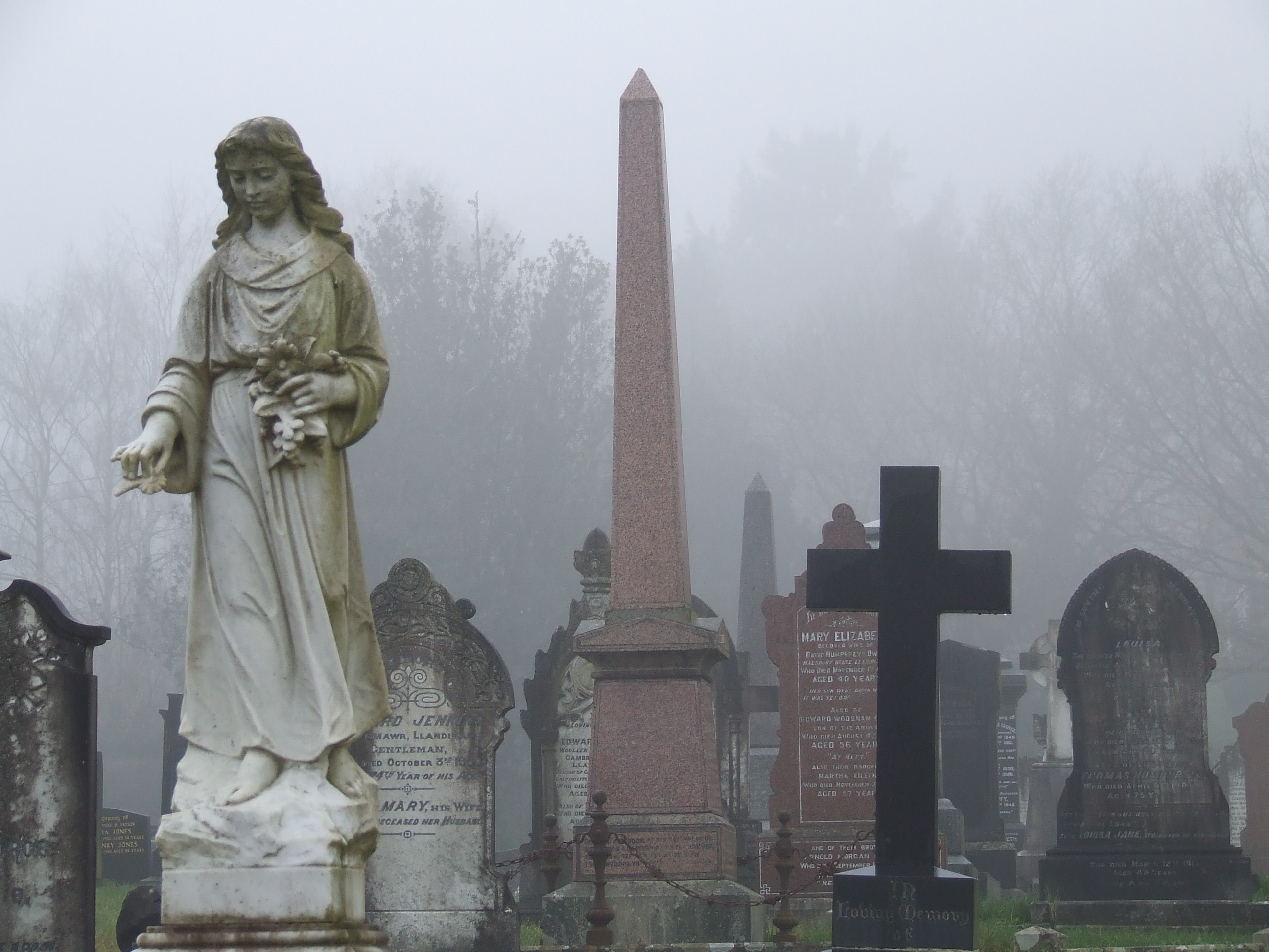 CEMETARY MIST Bill Bagley Photography